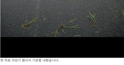 생애 첫차 구매 인증.jpg