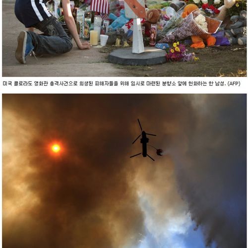 7월 세계 각지 근황.jpg