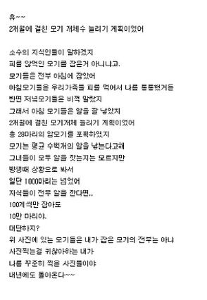 디시인의 모기 3000마리 늘리기