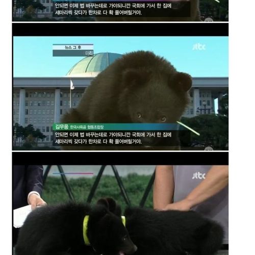 CG로 모자란 JTBC 뉴스.JPG