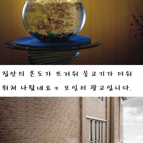 세계의 재밌는 광고.jpg