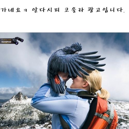 세계의 재밌는 광고.jpg