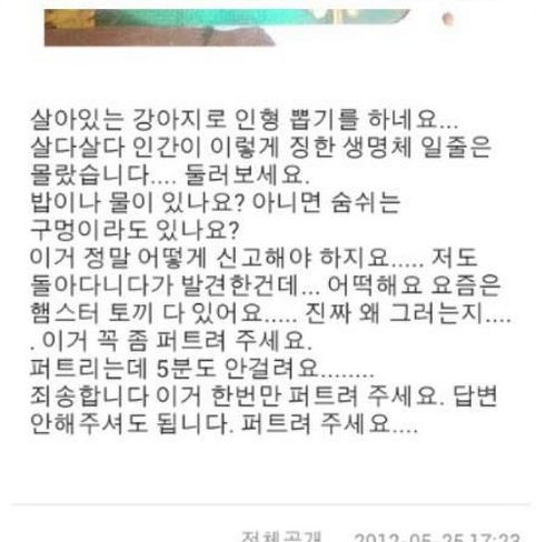 동네 인형뽑기甲.jpg