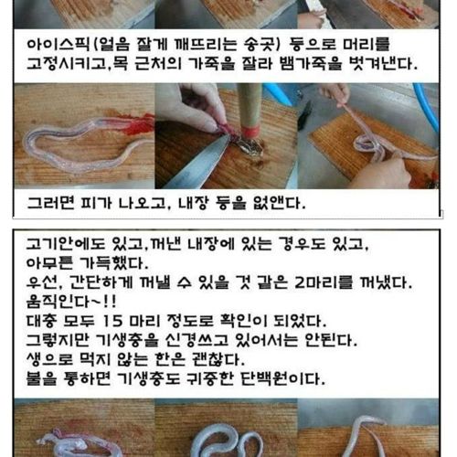 [혐!!] 살모사 시식기.jpg