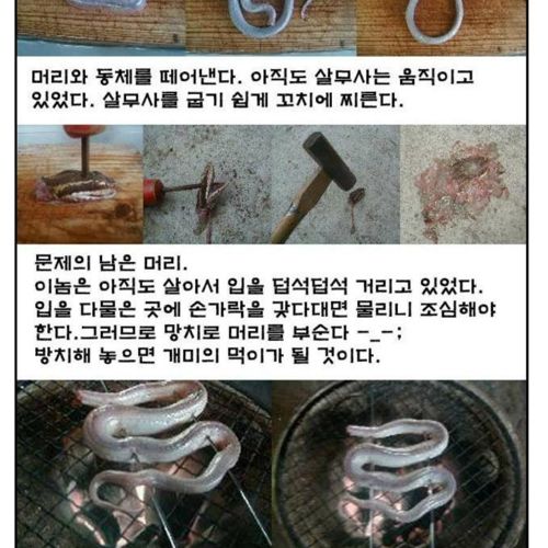 [혐!!] 살모사 시식기.jpg