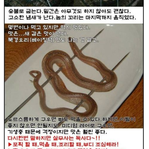 [혐!!] 살모사 시식기.jpg