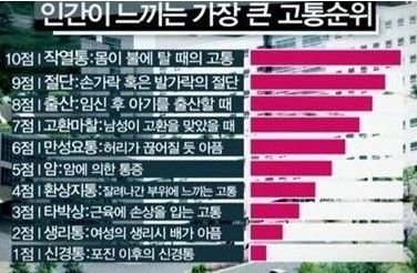 인간이 느끼는 가장 큰 고통 10