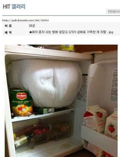 성에 키우는 냉장고.jpg