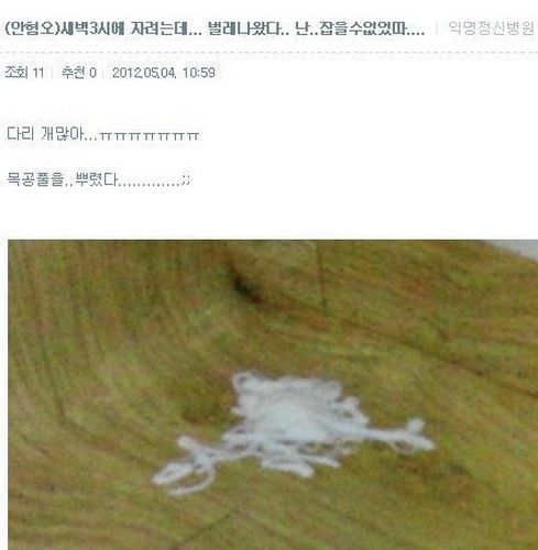 다음카페 웃긴댓글들.jpg