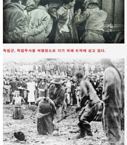 [스압][심약자주의!!]일본의실체