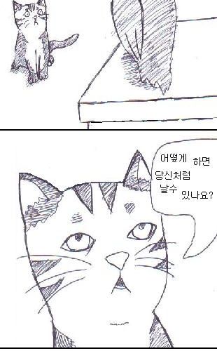 비둘기와 고양이.jpg