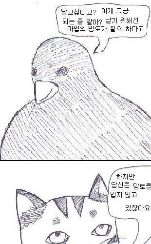 비둘기와 고양이.jpg