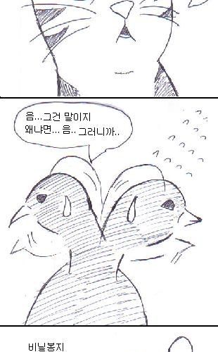 비둘기와 고양이.jpg