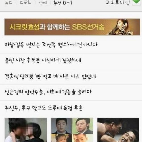 이종격투기선수의 열애기사