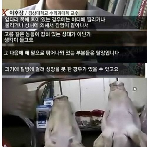 통돼지 바베큐의 불편한진실