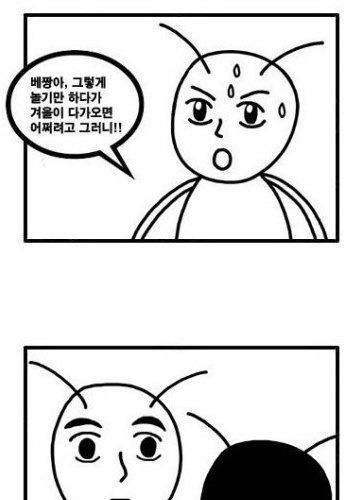 배짱이 배짱있네.jpg