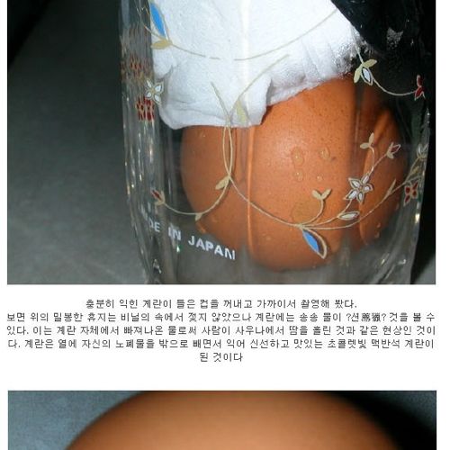 집에서 맥반석 계란 만들기.jpg