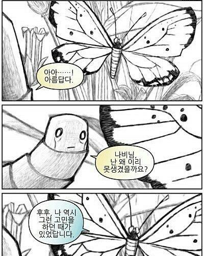  나비 XX끼.jpg