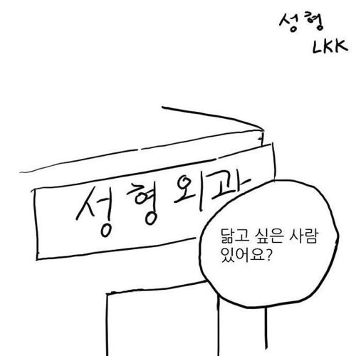 [스압]성형하는 만화.jpg