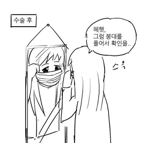 [스압]성형하는 만화.jpg