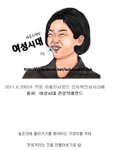 캣워커 사용후기.jpg