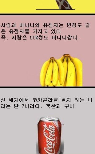 우리가 몰랐던 것들.jpg