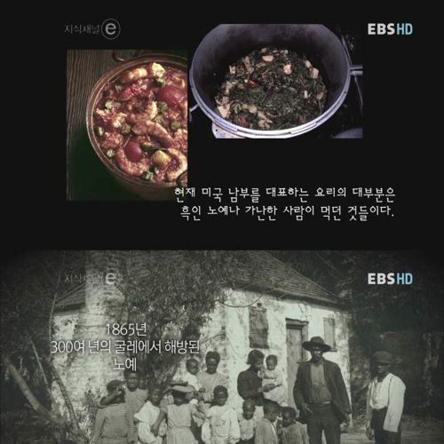 치킨의 역사.jpg