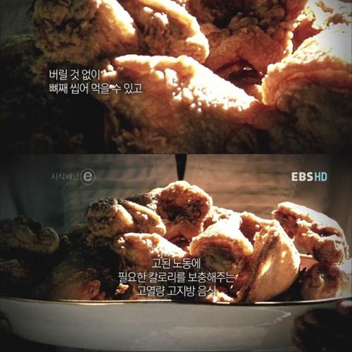 치킨의 역사.jpg