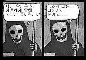 고양이가 장수하는 이유.jpg