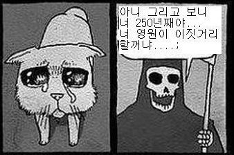 고양이가 장수하는 이유.jpg