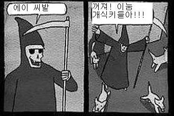 고양이가 장수하는 이유.jpg