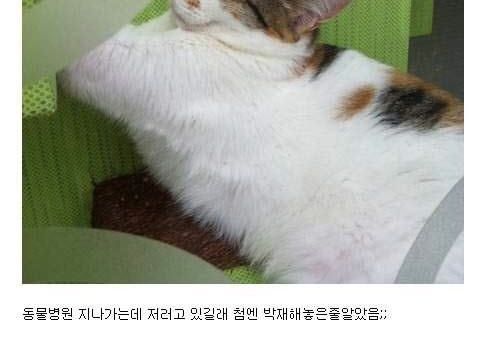 예사롭지않는 포즈.jpg