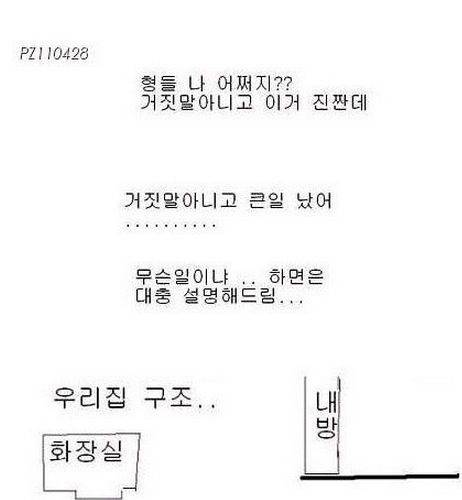 화분깼는데 어떡함?ㅠㅠ.jpg