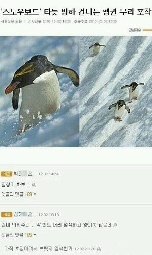 멋진녀석들.jpg