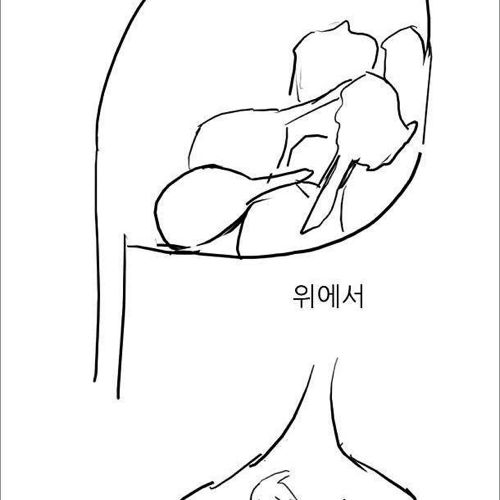 치킨의 위험성.jpg