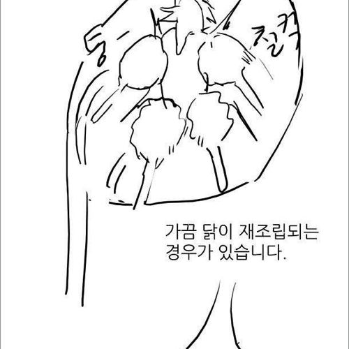 치킨의 위험성.jpg