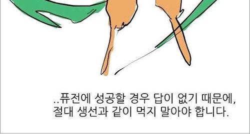 치킨의 위험성.jpg