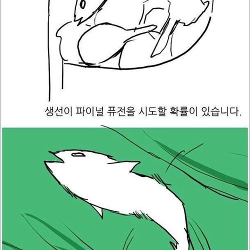 치킨의 위험성.jpg