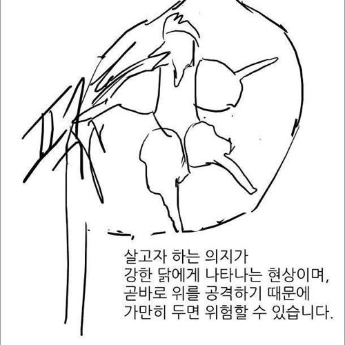 치킨의 위험성.jpg