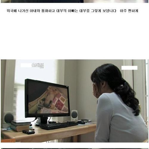 [스압]안내견 대부.jpg