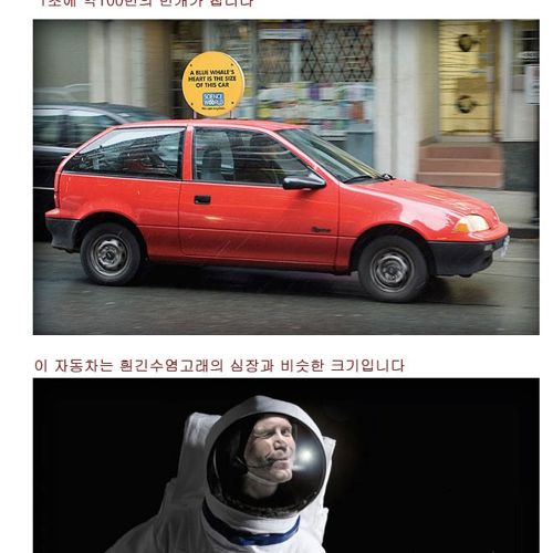 재미있는 상식들.jpg