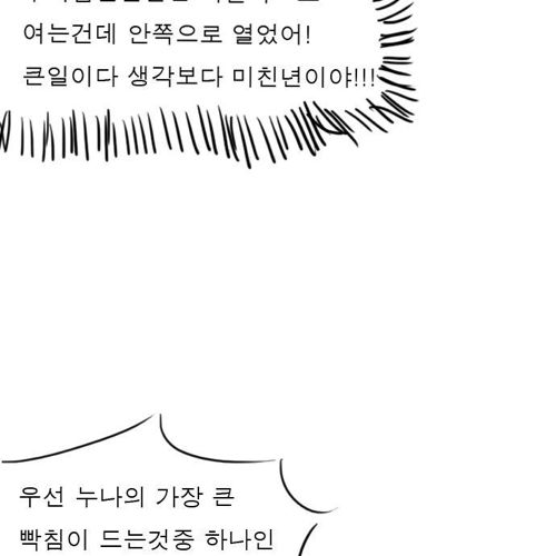 [스압]보편적인 누나.jpg