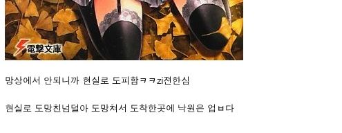 2차원이 안되니까 한심한넘들