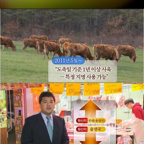 횡성한우의 진실.jpg