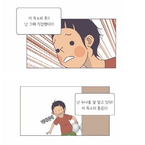 나는 누나를 잘 알고 있다