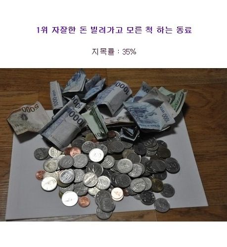 직장내에서 가장얄미운 좀도둑7