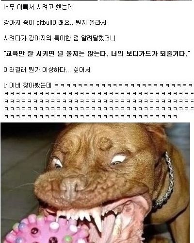 큰일날뻔한 유학생.jpg