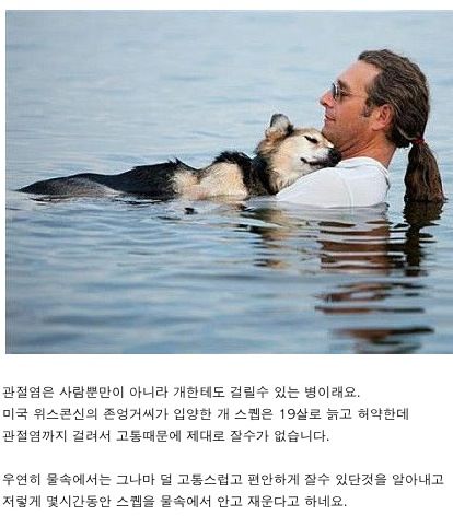 관절염걸린 개이야기.jpg