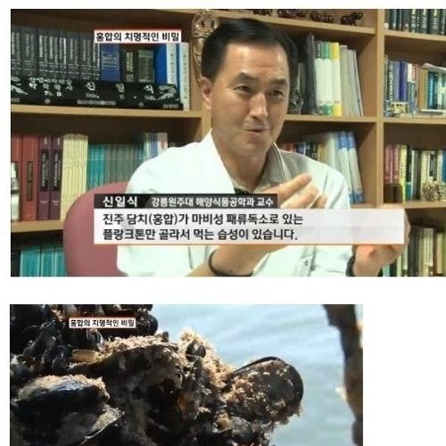 홍합의 진실.jpg