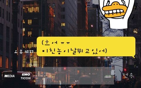 [스압]이모티콘의 적절한 사용류